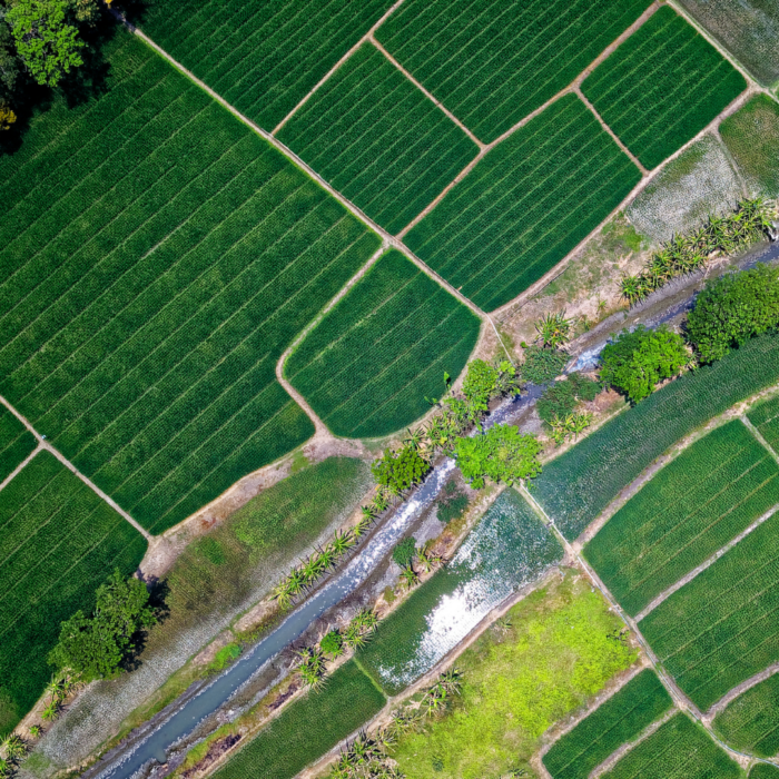 A flight view of an agriculture field