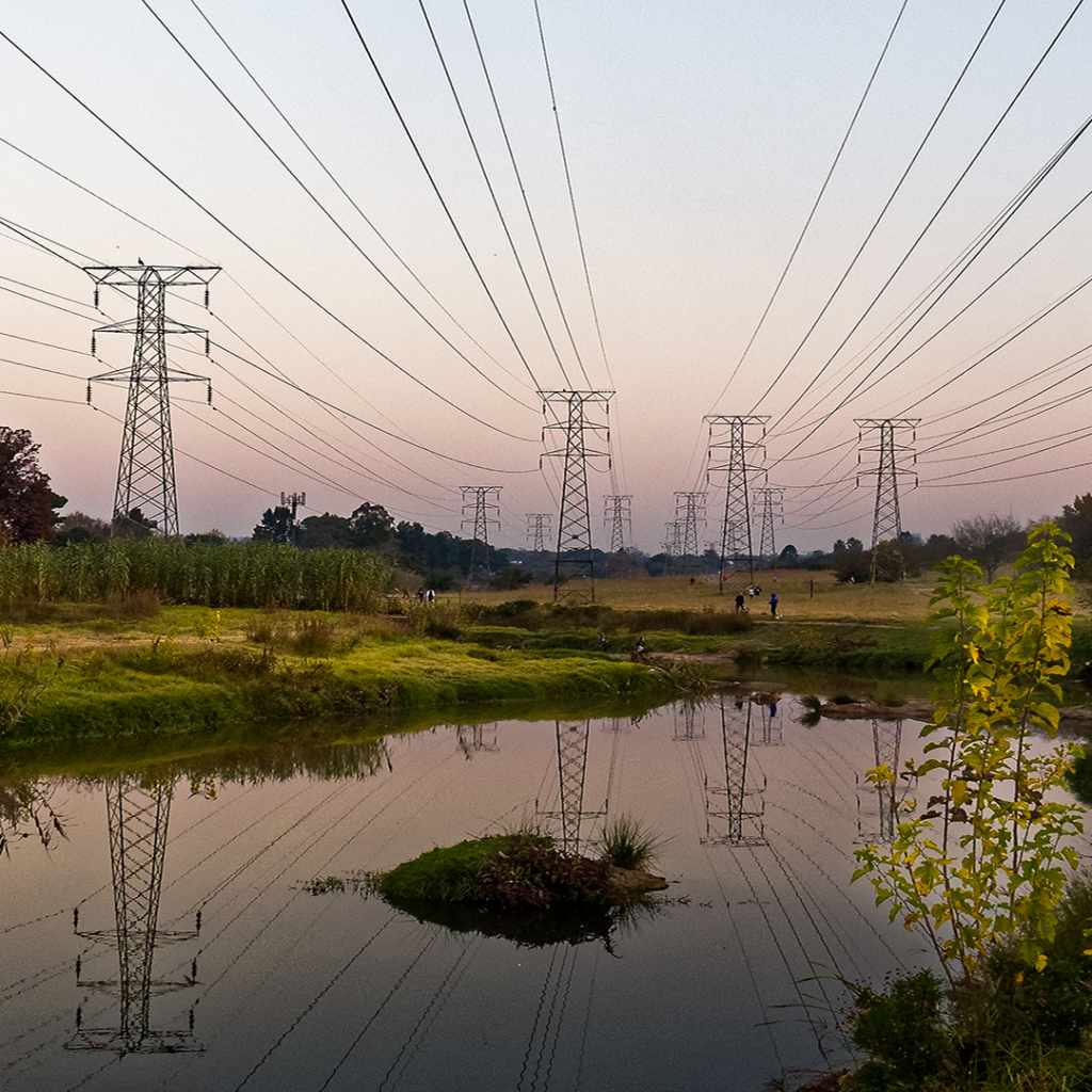 Powerlines in a field